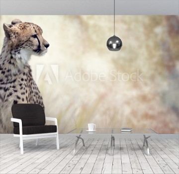 Picture of Wild Cheetah